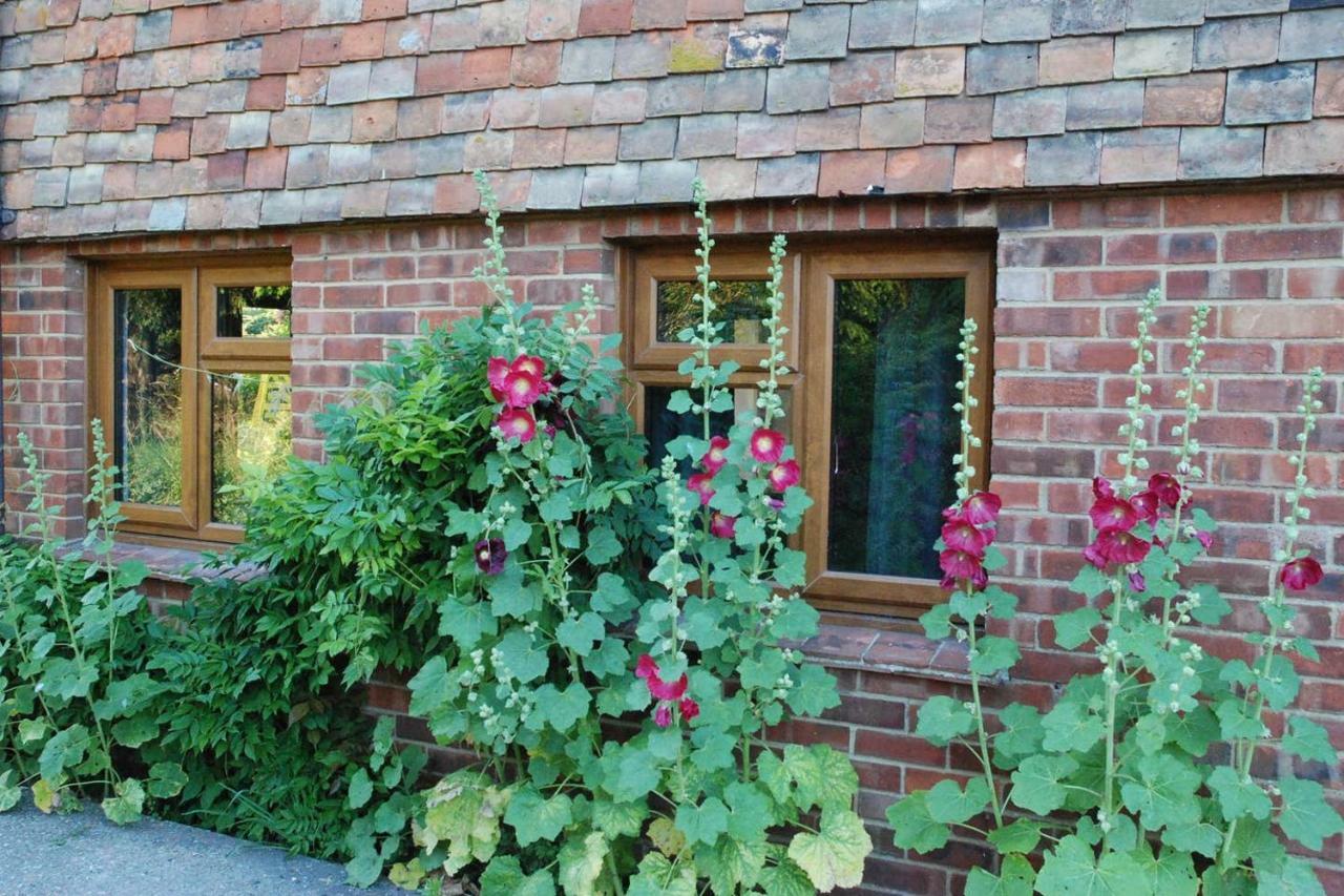Hollyhock Cottage Ashford  Eksteriør bilde