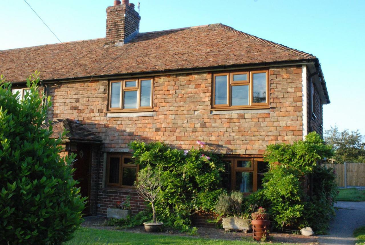 Hollyhock Cottage Ashford  Eksteriør bilde